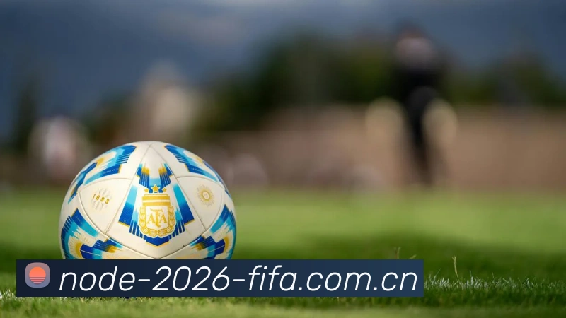 2026世界杯官方数据应用界面