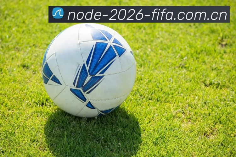 2026世界杯全球连接